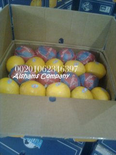الليمون الطازج 3