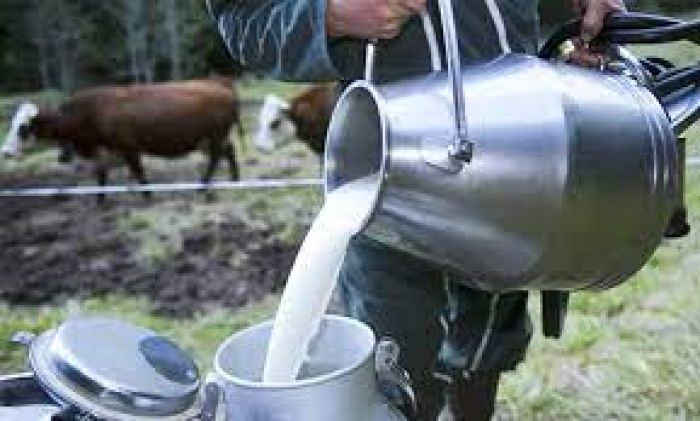 مطلوب شريك في مشروع تربية المواشي وإنتاج الحليب في تركيا 3