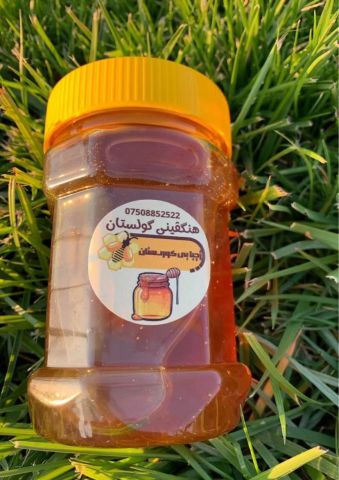 هنگڤین گولستان 3