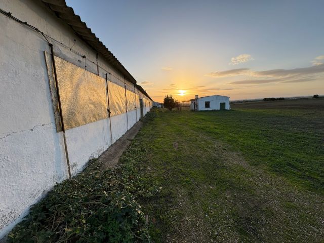 استثمارات مزارع بشتى انواعها للبيع في اسبانيا 2