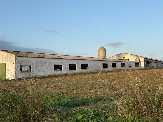 استثمارات مزارع بشتى انواعها للبيع في اسبانيا 3