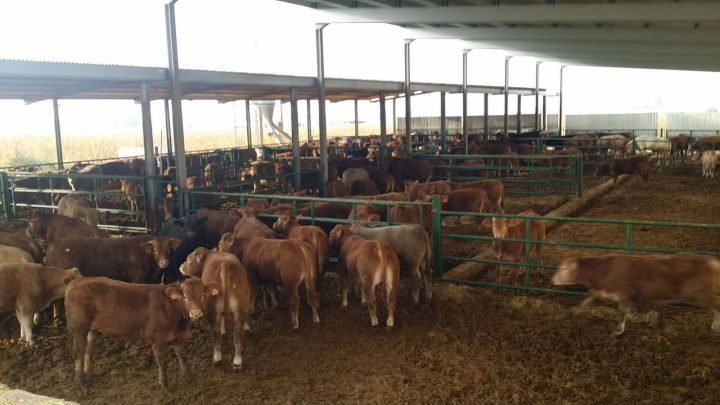 استثمارات مزارع بشتى انواعها للبيع في اسبانيا 7